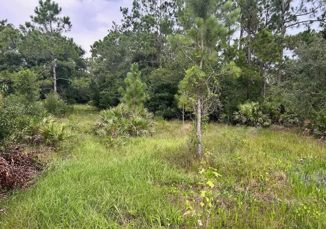 4th image of 640 Ne 144Th Dr, Okeechobee, FL 34972 | MLS# F10519316