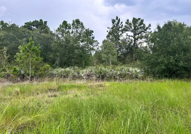 5th image of 640 Ne 144th Dr, Okeechobee, FL 34972 | MLS# F10519316