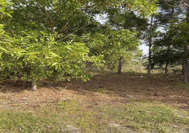 3rd image of 17755 Fox Trail Ln, Loxahatchee, FL 33470 | MLS# R11054132