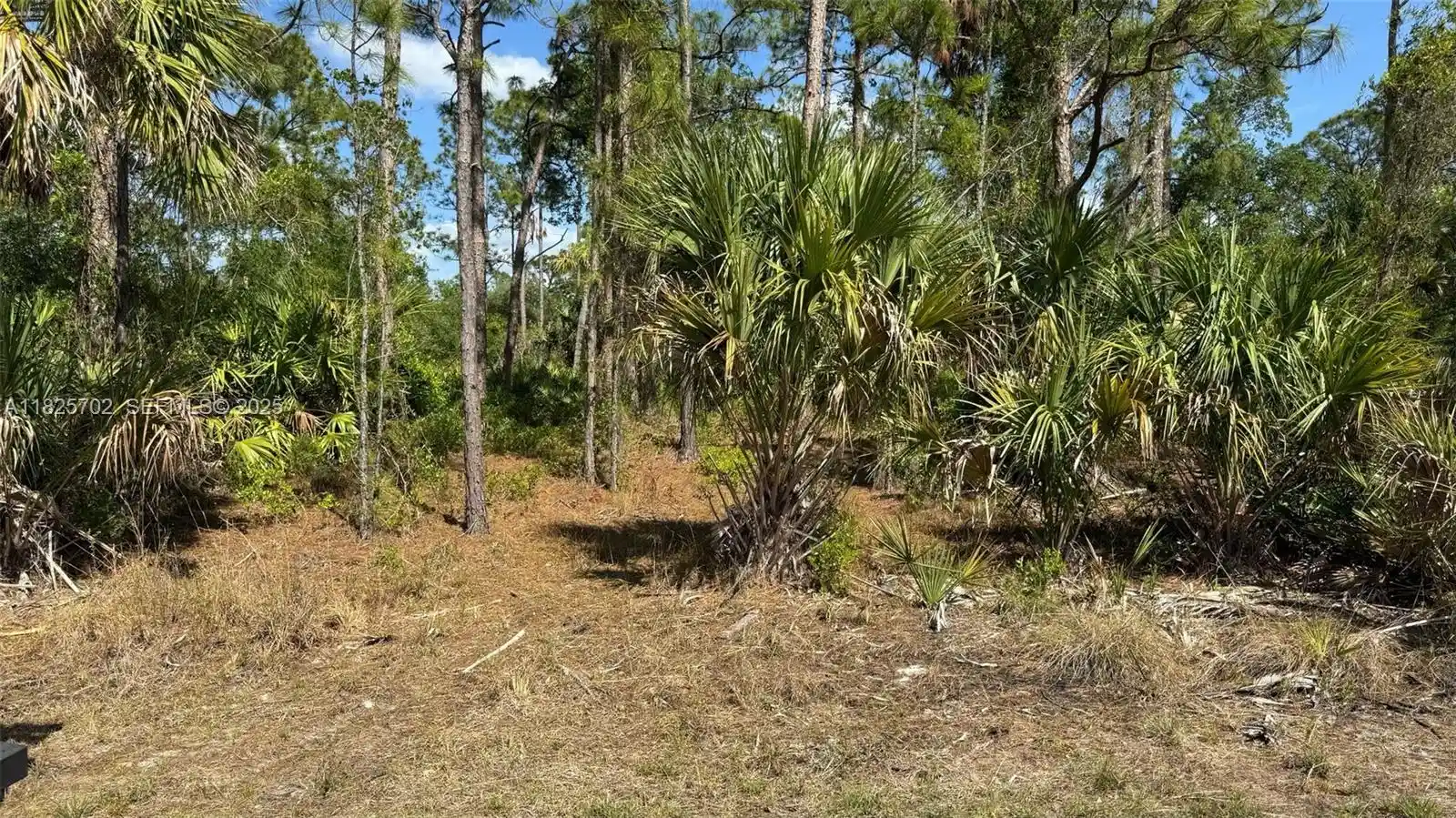 Photo 1 of Land for sale at 272 Ellington St, Port Charlotte, FL 33953 | MLS# A11825702 | Listing updated on 2026-10-30