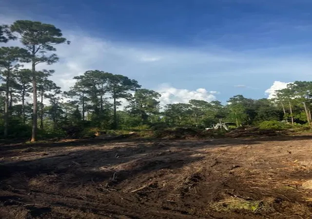 1st image of 2018 Canton Ave, Alva, FL 33920 | MLS# R11117589