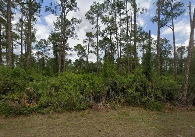 2nd image of 2018 Canton Ave, Alva, FL 33920 | MLS# R11117589