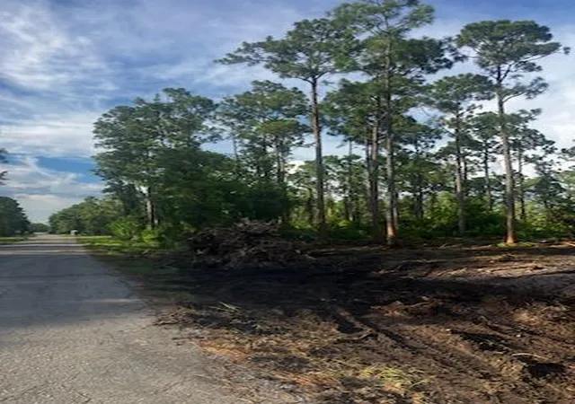 5th image of 2018 Canton Ave, Alva, FL 33920 | MLS# R11117589
