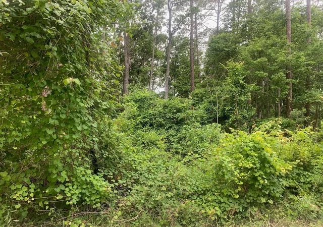 Homes for sale in Satsuma, FL | 123 Coot Rd, Satsuma, FL 32189 | MLS# F10521074