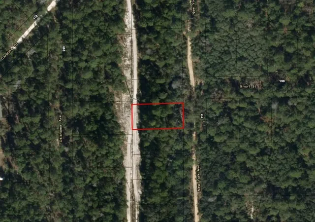Homes for sale in Satsuma, FL | 111 New York Ave, Satsuma, FL 32189 | MLS# F10521044
