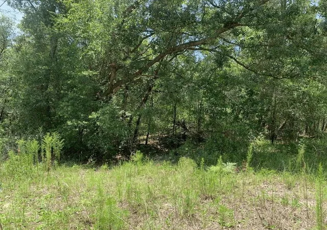 Homes for sale in Satsuma, FL | 0 Oklahoma Ave, Satsuma, FL 32189 | MLS# F10525472