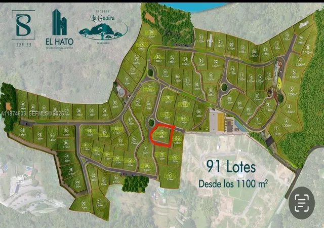 3rd image of (Undisclosed), Bonifay, FL 32425 | MLS# A11874903