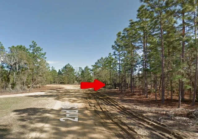 1st image of 00 2nd St, Interlachen, FL 32148 | MLS# R11123832