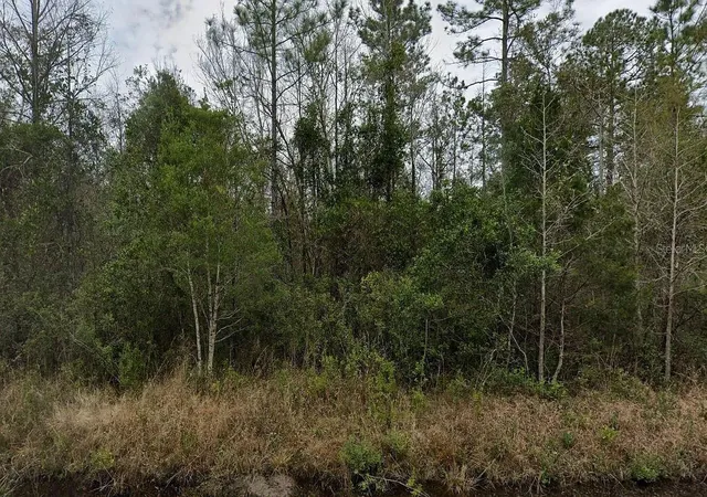 Homes for sale in Hastings, FL | 4220 Isaac St, Hastings, FL 32145 | MLS# R11133059