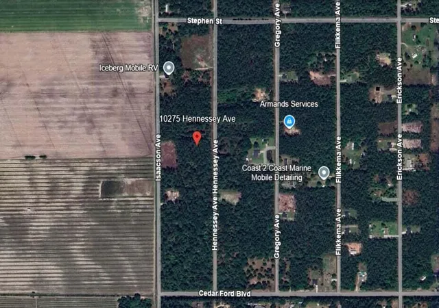 Homes for sale in Hastings, FL | 10275 Hennessey Ave, Hastings, FL 32145 | MLS# R11134589