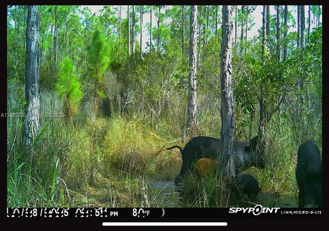 15th image of 0000 Unassigned, Indiantown, FL 34956 | MLS# A11903250