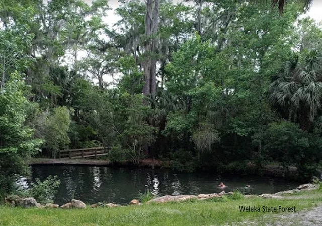 Homes for sale in Georgetown, FL | 208 Garrison Ave, Georgetown, FL 32139 | MLS# R11142351
