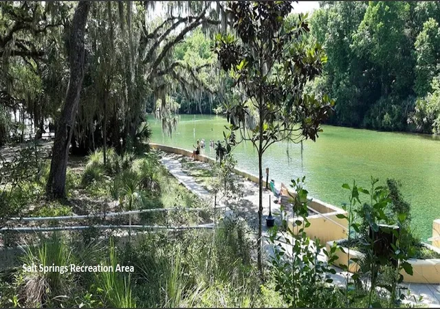 Homes for sale in Georgetown, FL | 208 Garrison Ave, Georgetown, FL 32139 | MLS# R11142351