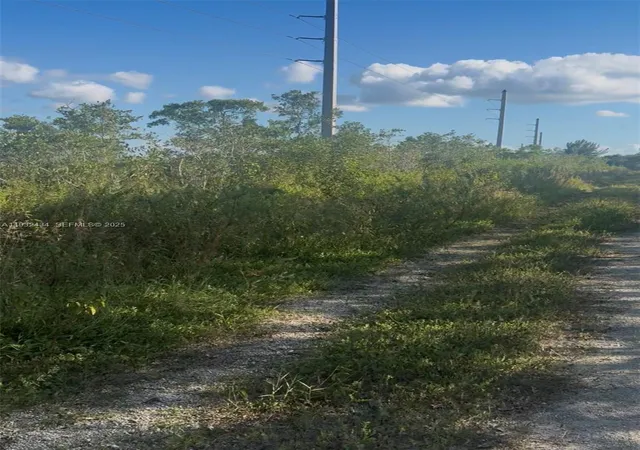 3rd image of Unincorporated, Unincorporated, Unincorporated,, Homestead, FL 33035 | MLS# A11932434