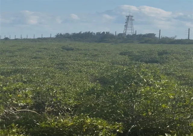 4th image of Unincorporated, Unincorporated, Unincorporated,, Homestead, FL 33035 | MLS# A11932434