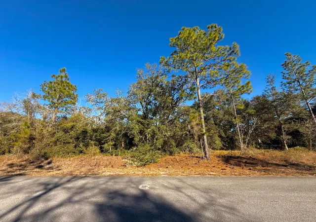 Homes for sale in Dunnellon, FL | Tbd Lot 35 Sw Lobelia Ct, Dunnellon, FL 34431 | MLS# R11149733
