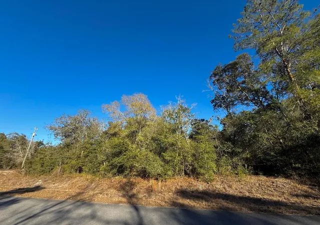 Homes for sale in Dunnellon, FL | Tbd Lot 35 Sw Lobelia Ct, Dunnellon, FL 34431 | MLS# R11149733