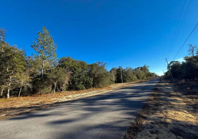 Homes for sale in Dunnellon, FL | Tbd Lot 35 Sw Lobelia Ct, Dunnellon, FL 34431 | MLS# R11149733