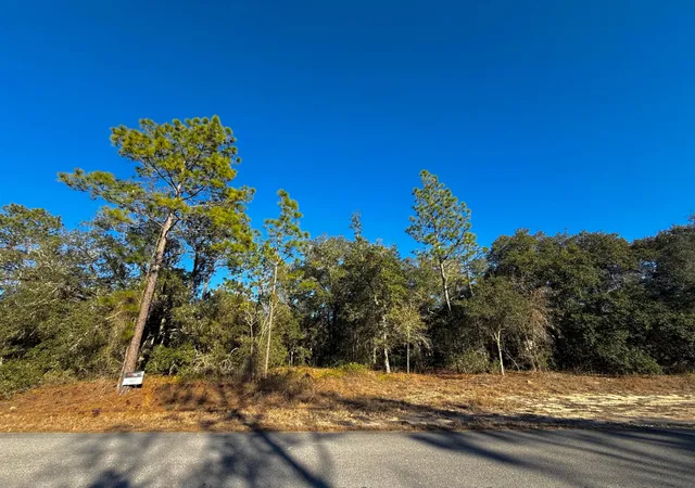 Homes for sale in Dunnellon, FL | Tbd Lot 35 Sw Lobelia Ct, Dunnellon, FL 34431 | MLS# R11149733