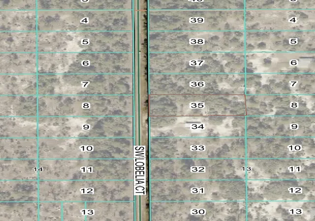 Homes for sale in Dunnellon, FL | Tbd Lot 35 Sw Lobelia Ct, Dunnellon, FL 34431 | MLS# R11149733