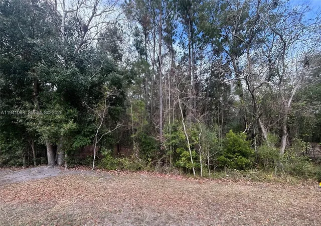 2nd image of 0 Landward, Middleburg, FL 32068 | MLS# A11941003