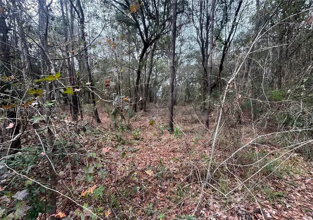 4th image of 0 Landward, Middleburg, FL 32068 | MLS# A11941003