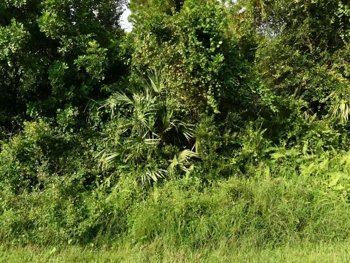 Photo 1 of Land for sale at 2338 Sw Fern Cir, Port Saint Lucie, FL 34953 | MLS# R11154812 | Listing updated on 2026-10-19