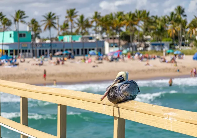 Homes for sale in Pompano Beach, FL | 405 N Ocean Blvd #208, Pompano Beach, FL 33062 | MLS# R11158765