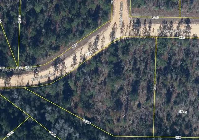 Homes for sale in Alford, FL | Canyonland Street Canyonland Street East Canyonlands Street, Alford, FL 32420 | MLS# A11944788