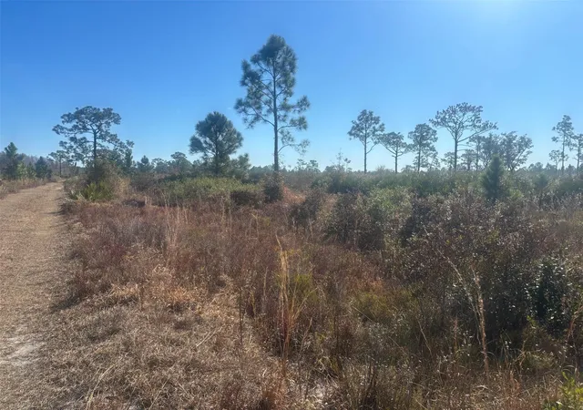 Photo 1 of Land for sale at 0 Xeriscape Nursery Rd, Frostproof, FL | MLS# F10550257 | Listing updated on 2026-09-23