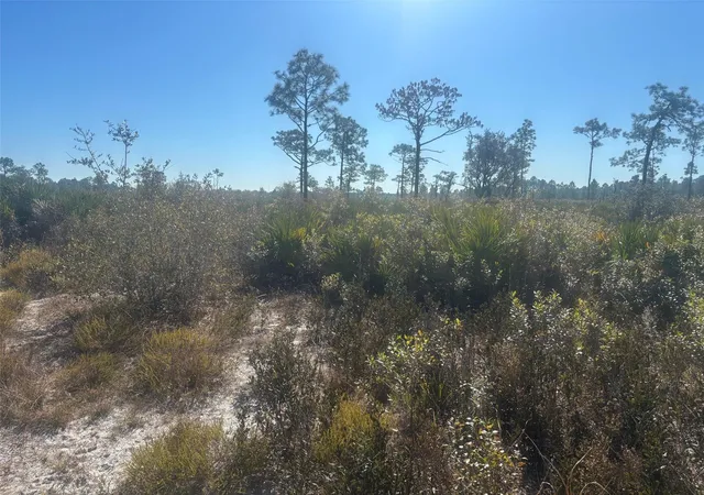 Photo 2 of Land for sale at 0 Xeriscape Nursery Rd, Frostproof, FL | MLS# F10550257 | Listing updated on 2026-09-23