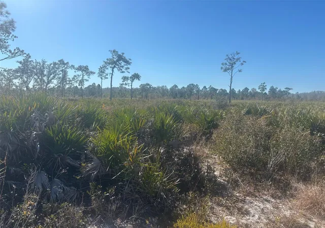 Photo 3 of Land for sale at 0 Xeriscape Nursery Rd, Frostproof, FL | MLS# F10550257 | Listing updated on 2026-09-23