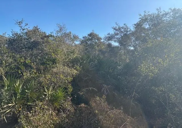 Photo 2 of Land for sale at 2280 93rd Court, Vero Beach, FL 32966 | MLS# F10550493 | Listing updated on 2026-09-23