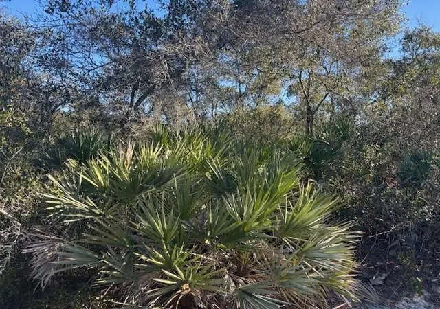 Photo 3 of Land for sale at 2280 93rd Court, Vero Beach, FL 32966 | MLS# F10550493 | Listing updated on 2026-09-23