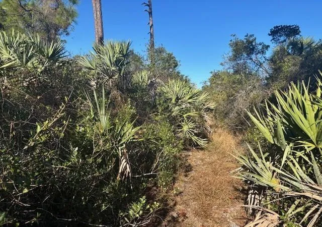 Photo 1 of Land for sale at 42260 93rd Avenue, Vero Beach, FL 32966 | MLS# F10550499 | Listing updated on 2026-09-23