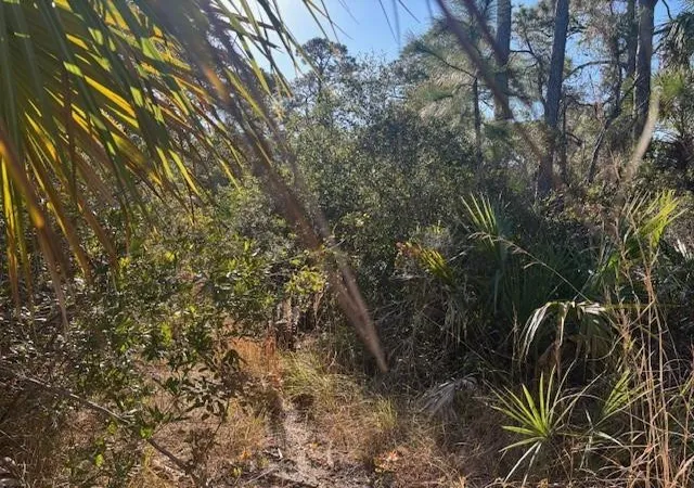 Photo 2 of Land for sale at 42260 93rd Avenue, Vero Beach, FL 32966 | MLS# F10550499 | Listing updated on 2026-09-23