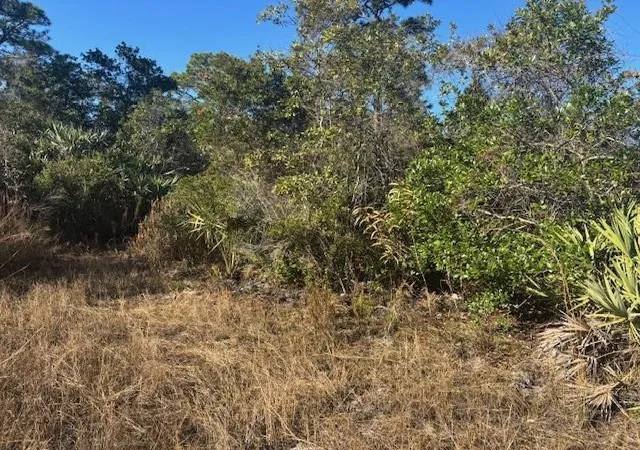 Photo 3 of Land for sale at 42260 93rd Avenue, Vero Beach, FL 32966 | MLS# F10550499 | Listing updated on 2026-09-23