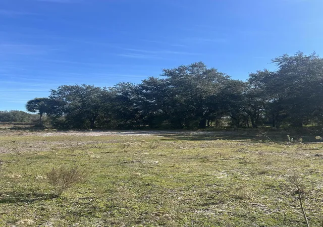 9th image of 18034 Nw 286th St, Okeechobee, FL 34972 | MLS# R11161465