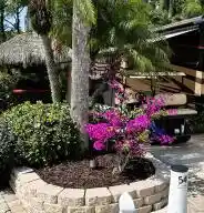 Photo 1 of Land for sale at 54 Nw Boundary Dr, Port St Lucie, FL 34986 | MLS# R11164387 | Listing updated on 2026-10-19
