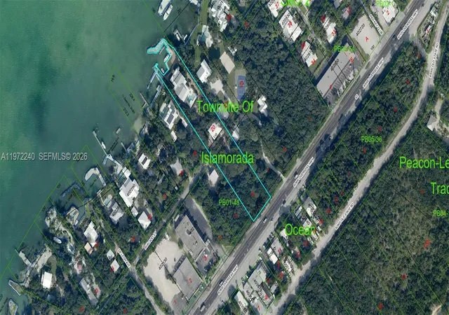 43rd image of 20 Avacado St, Islamorada, FL 33036 | MLS# A11972240