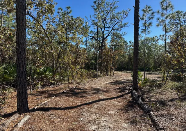 3rd image of 4944 W Mustang Blvd, Beverly Hills, FL 34465 | MLS# F10556604