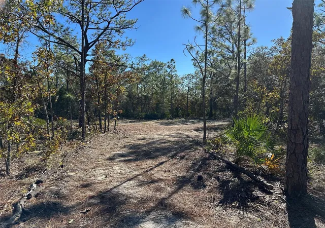 4th image of 4944 W Mustang Blvd, Beverly Hills, FL 34465 | MLS# F10556604