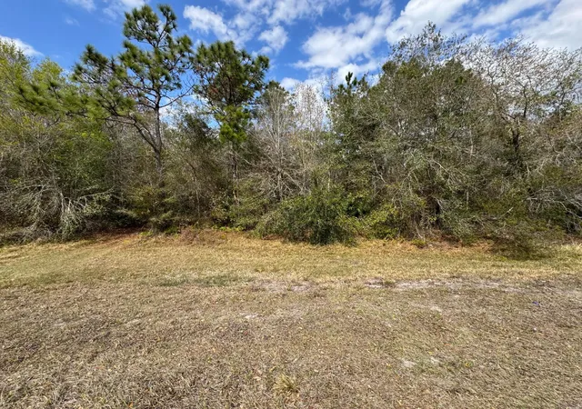 Homes for sale in Kenansville, FL | 0 Canoe Creek, Kenansville, FL 34739 | MLS# B26002421