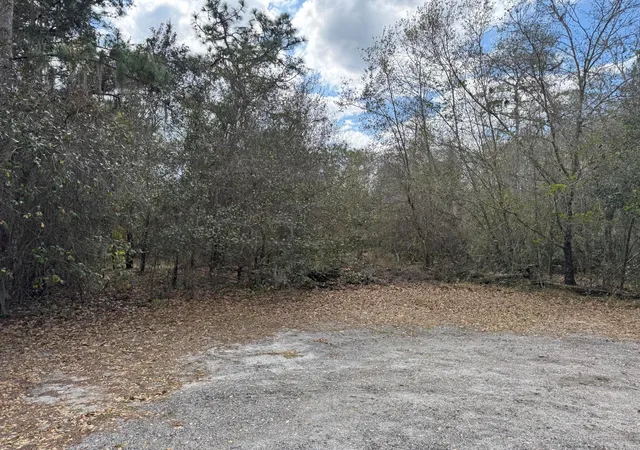 Homes for sale in Kenansville, FL | 0 1st, Kenansville, FL 34739 | MLS# B26002422