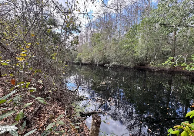 Homes for sale in Kenansville, FL | 0 1st, Kenansville, FL 34739 | MLS# B26002422
