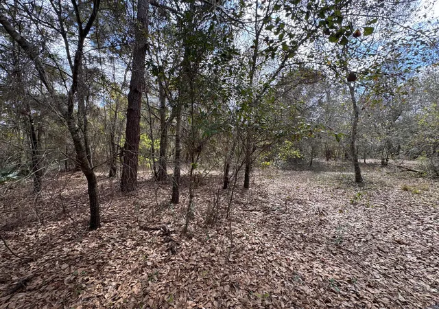 Photo 3 of Land for sale at 000 1st Street, Kenansville, FL 34739 | MLS# B26002422 | Listing updated on 2026-09-02