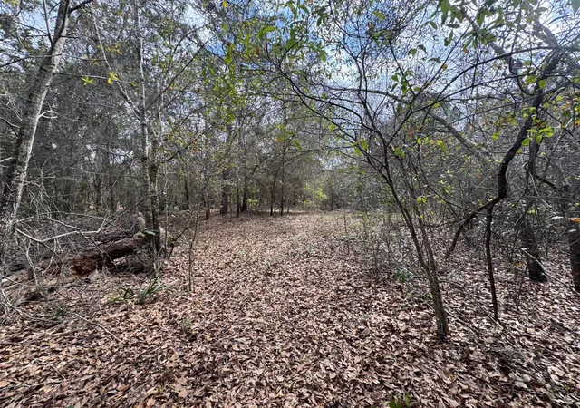 Homes for sale in Kenansville, FL | 0 1st, Kenansville, FL 34739 | MLS# B26002422
