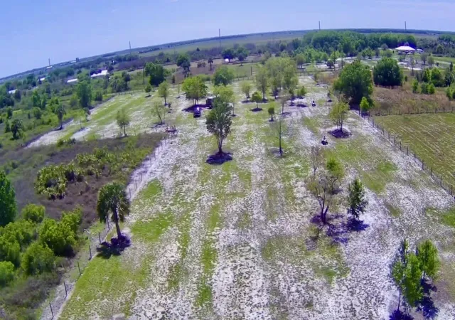 16th image of 14769 Nw 244th St, Okeechobee, FL 34972 | MLS# B26008232