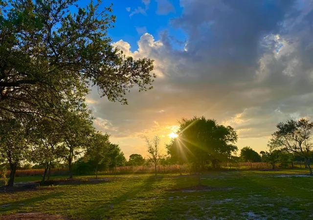 4th image of 14769 Nw 244Th St, Okeechobee, FL 34972 | MLS# B26008232