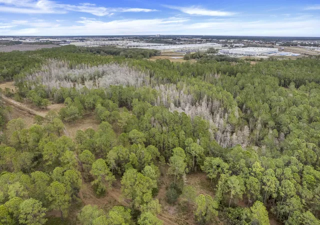 10th image of 000 No Street, Polk City, FL 33868 | MLS# B26009086
